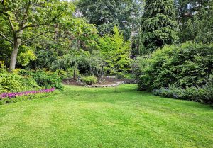 Optimiser l'expérience du jardin à Pouy-sur-Vannes
